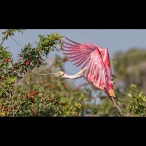 Meet your Posher, Barbie